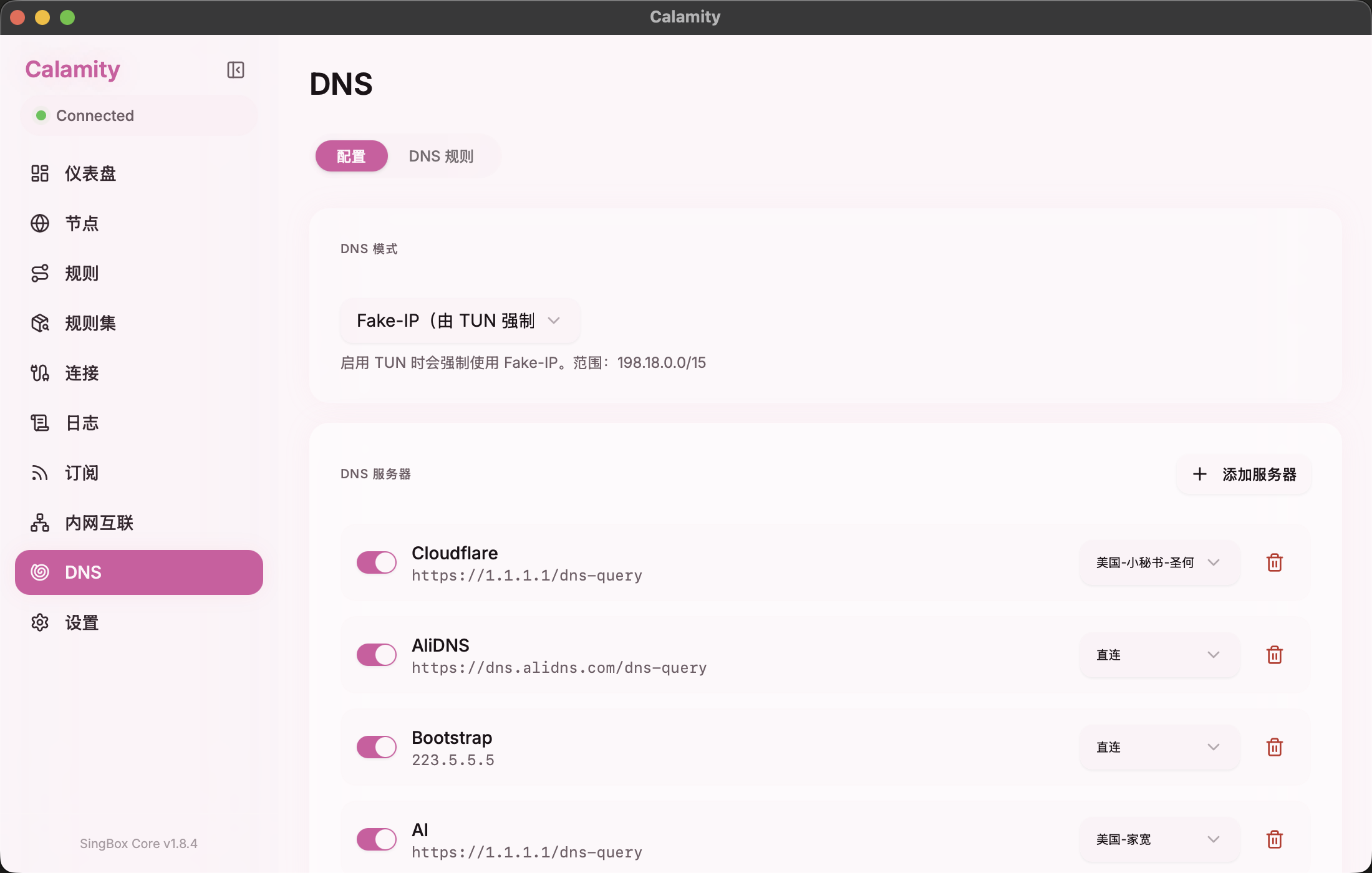 DNS 页面